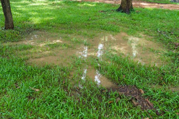 Storm Water Drainage Service in Rogers