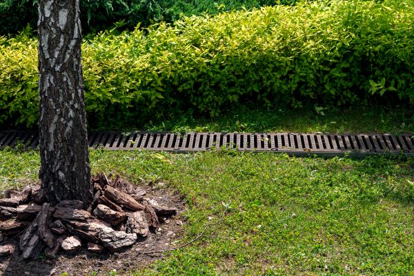 Cost of Yard Water Redirection in Rogers