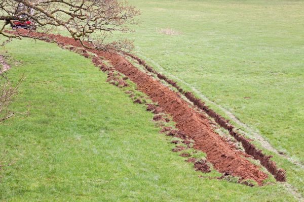 Cost of Swale Installation in Rogers