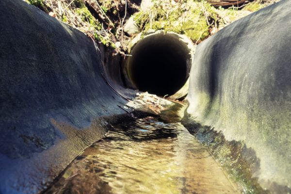 Drainage Swale Installation in Rogers