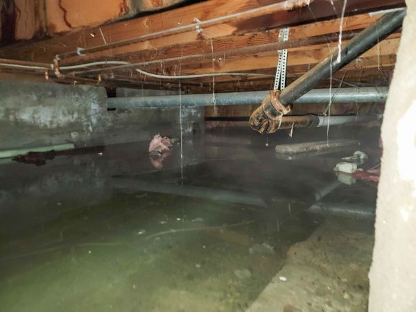Cost of Crawlspace Drainage in Rogers